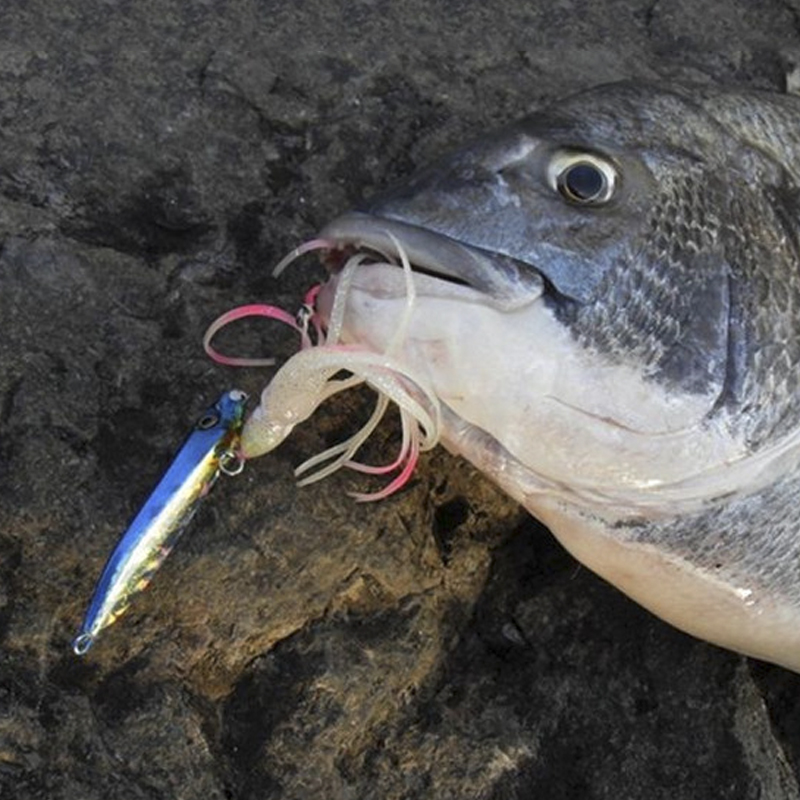 الهوس J25 Inchiku الحبار إغراء - مراجعة Fishing Lure Buzzbait وسعره